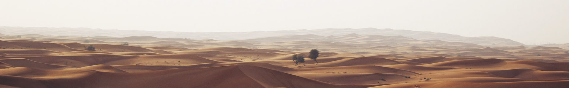 ൺƵϲƼ޹˾